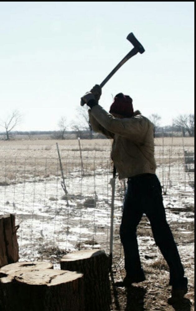 Sierra Tree Service - tree service in San Jose, CA