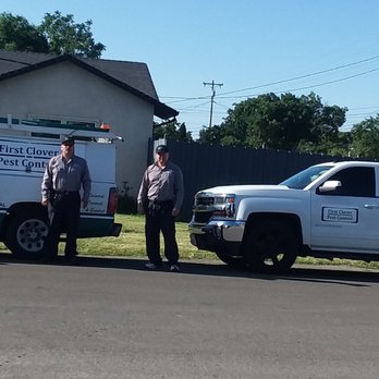 First Clover Pest Control - At your service! - Pest Control Near Me - Stockton, California First Clover Pest Control - At your service! - Pest Control Near Me - Stockton, California