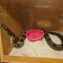 Photo of Deep Dark Reptiles