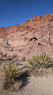 Red Rock Canyon by null
