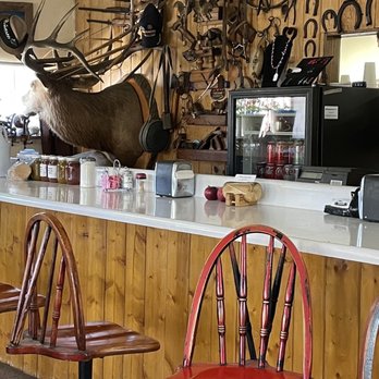 Mesa Vista Cafe - a deer mounted on the wall - Diners Near Me - Ojo Caliente, New Mexico