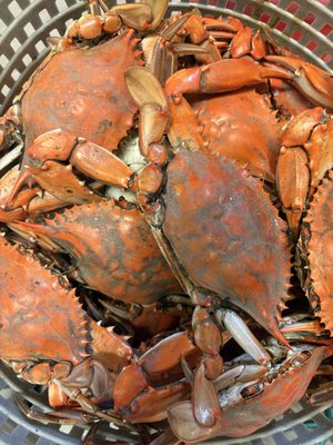 Wild Country Seafood by null