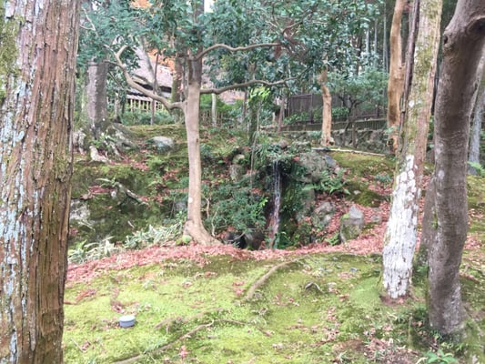 Yoshikien Garden by null