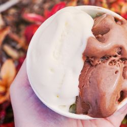 Gus’s Gelato - Double flavors