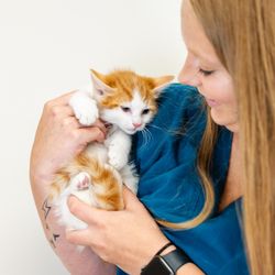 Anicira Veterinary Center
