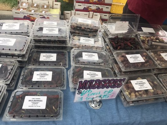 The River Park Farmers Market by null
