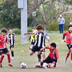 Juventus Academy