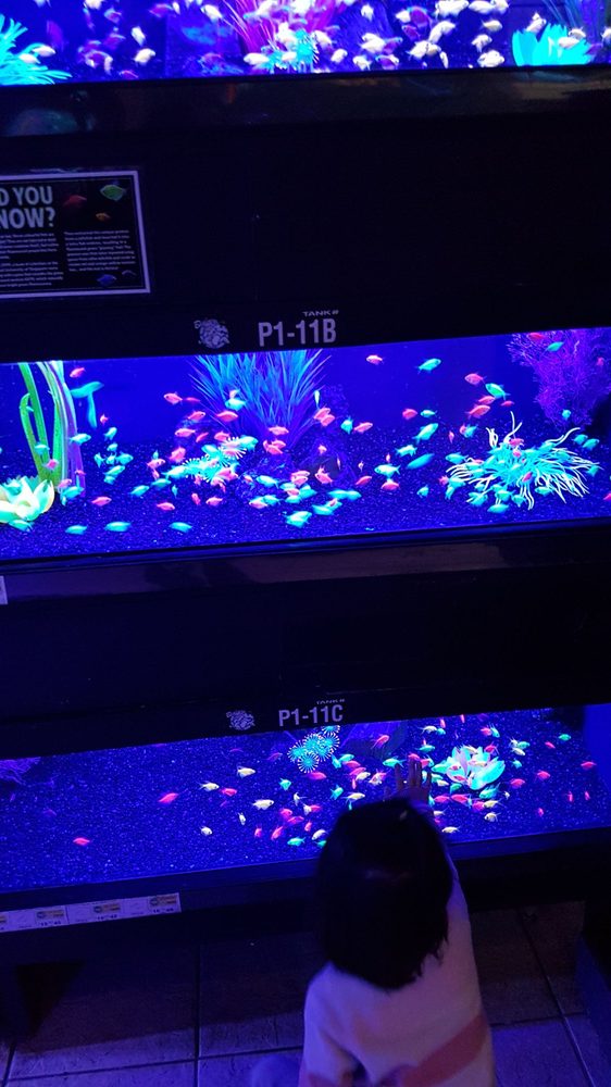 als aquarium