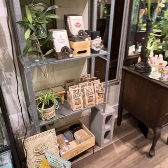 Succulents & More - Home Decor Near Me - Benicia, California Succulents & More - Home Decor Near Me - Benicia, California