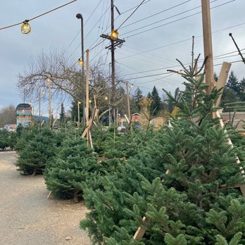 Chad's Christmas Trees - Christmas Trees Near Me - Beaverton, Oregon Chad's Christmas Trees - Christmas Trees Near Me - Beaverton, Oregon