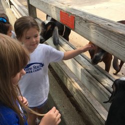 Future Stars Summer Camps - Rising Stars Camp (potty-trained-age 6)