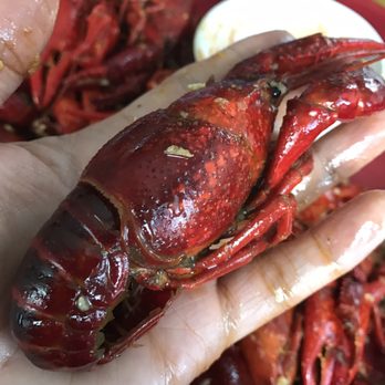 LTK Crawfish - Cajun/Creole Near Me - Houston, Texas LTK Crawfish - Cajun/Creole Near Me - Houston, Texas
