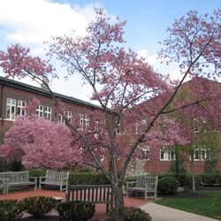 The Wardlaw + Hartridge School - Courtyard at Wardlaw-Hartridge School