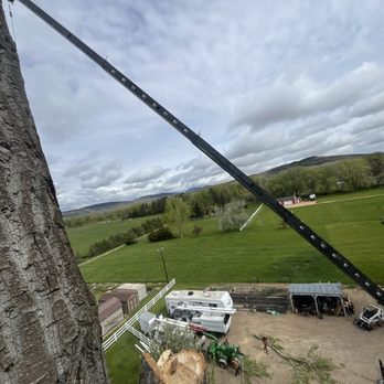 Helping Hand Tree Service - The landing zone - Tree Services Near Me - Longmont, Colorado Helping Hand Tree Service - The landing zone - Tree Services Near Me - Longmont, Colorado