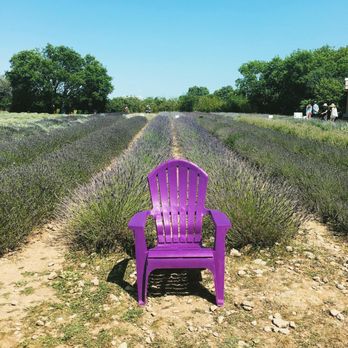 Prince Edward County Lavender - Gift Shops Near Me - Hillier, Ontario