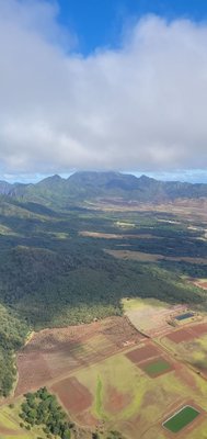 Blue Hawaiian Helicopters by null