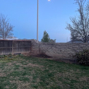 Hernández Tree Services - After - Tree Services Near Me