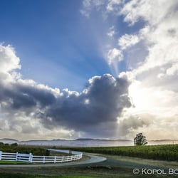 Kopol Bonick Photography
