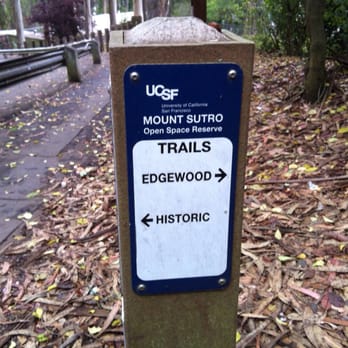 Mount Sutro - Very confusing, was I suppose to cross the road or go up the road???scratching my head - Parks Near Me - San Francisco, California