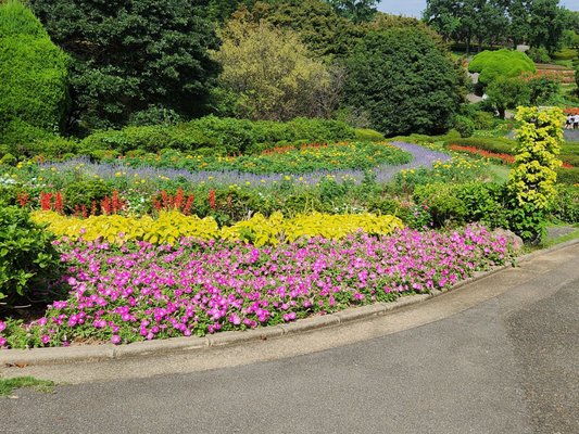 Nokonoshima Island by null