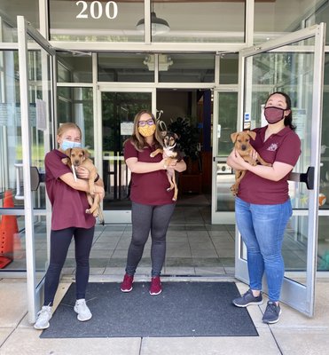 SPCA of Wake County by null