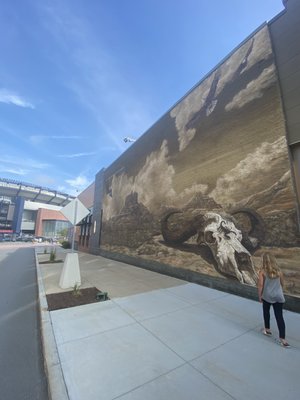 Scorpion Bar Patriot Place by null