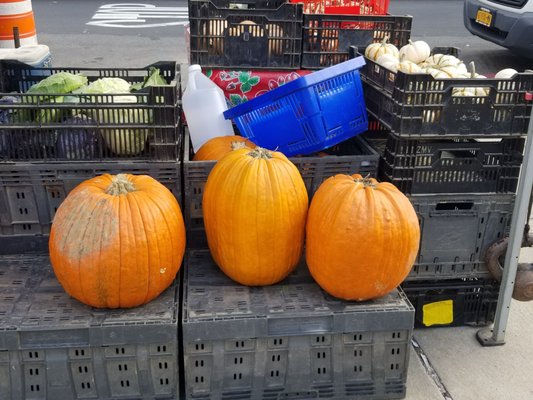 Forest Hills Greenmarket by null