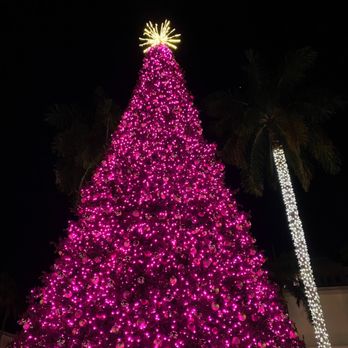 Mizner Park - Christmas tree lighting ceremony 11/18/23 - Shopping Centers Near Me - Boca Raton, Florida