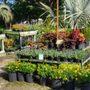 Photo of Butchers Landscaping & Nursery