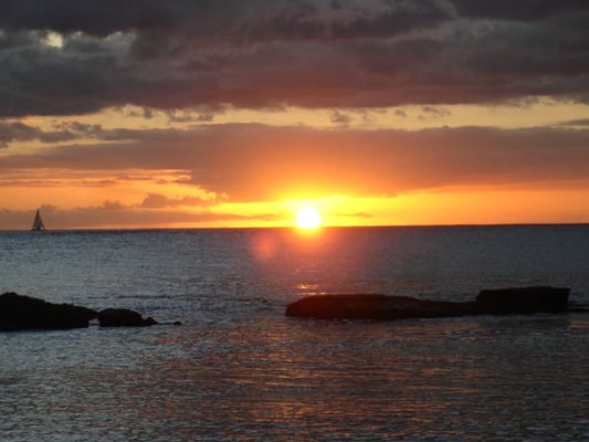 Paradise Cove Luau by null