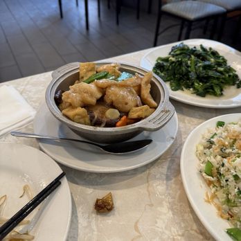Jade Fountain Cafe - Tofi and fish Clay pot - Chinese Near Me - Sacramento, California Jade Fountain Cafe - Tofi and fish Clay pot - Chinese Near Me - Sacramento, California