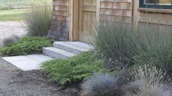 Rue Sherwood Landscape Design