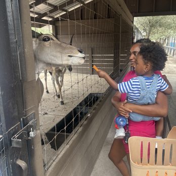 Hope Ranch - Ranches Near Me - Guyton, Georgia