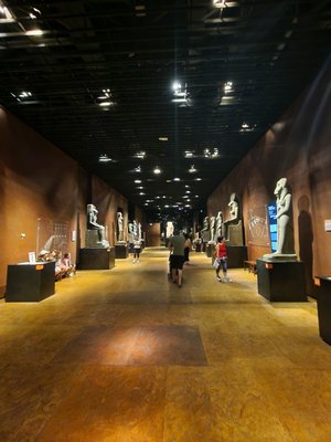 Museo Egizio by null