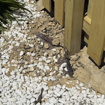 Zini & Son - Clay and mud thrown inside my landscaping on my white rocks and left there - Tree Services Near Me