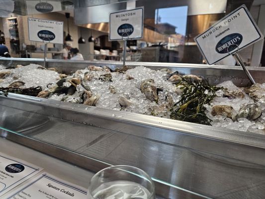 Roberto's Deluxe Oysters and Fine Fish by null