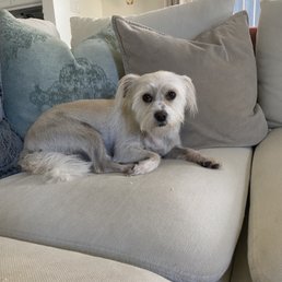 After her haircut!