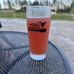 The Dog Paddle - Sour beer!
