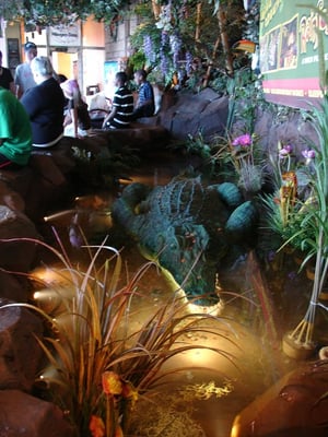 Rainforest Cafe by null