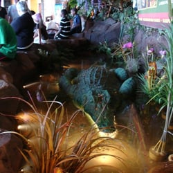 Rainforest Cafe