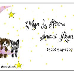 Moon and Stars Animal Rescue