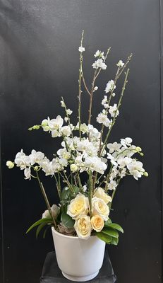 Ann's Flowers by null