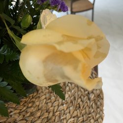 Katherine's Florist - More of the same...