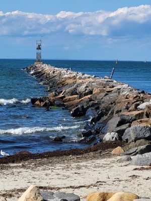 Gosman's Clam Bar by null