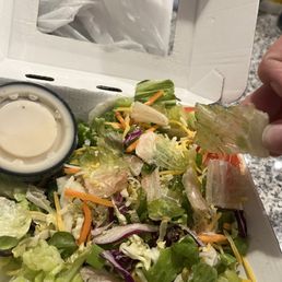 Translucent and red gross pieces of $6 side salad.