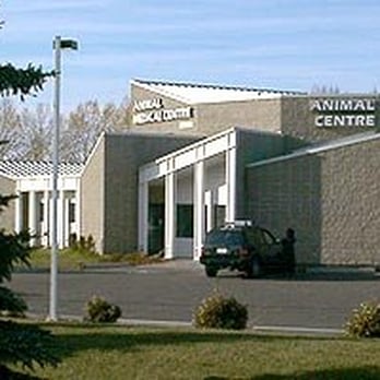 Animal Medical Centre - The Hospital - Veterinarians Near Me - Edmonton, Alberta Animal Medical Centre - The Hospital - Veterinarians Near Me - Edmonton, Alberta