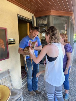 Rockin’ Star Ranch by null