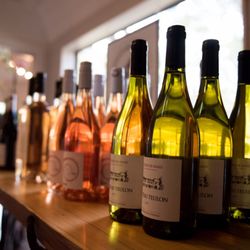 Casa Vindemia Wine Shop - International Wine Club!