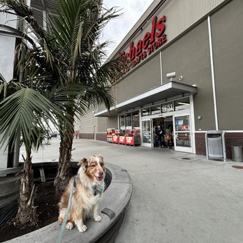 Michaels - ** Dogs Welcome **  ** on leash **  Betty Mae at Michael's Burbank Empire Centre - Arts & Crafts Near Me - Burbank, California