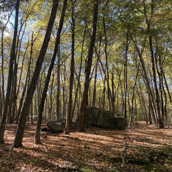 Lincoln Woods State Park - Parks Near Me - Lincoln, Rhode Island Lincoln Woods State Park - Parks Near Me - Lincoln, Rhode Island